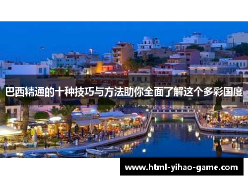 巴西精通的十种技巧与方法助你全面了解这个多彩国度